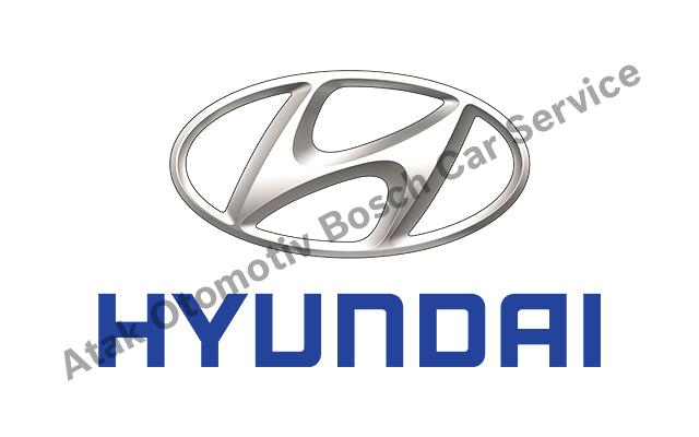 Van Hyundai Servisi