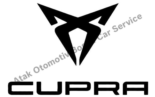 Van Cupra Servisi